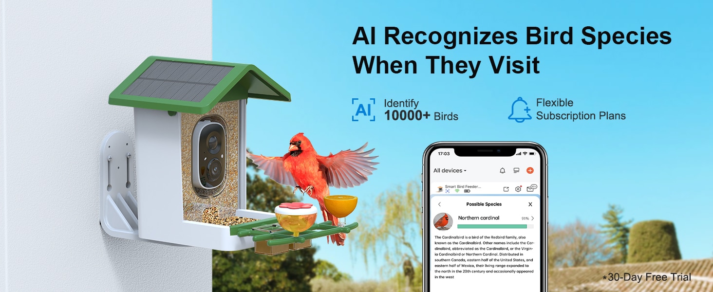 Bird Feeder Camera - AI recognizes bird species when they visit