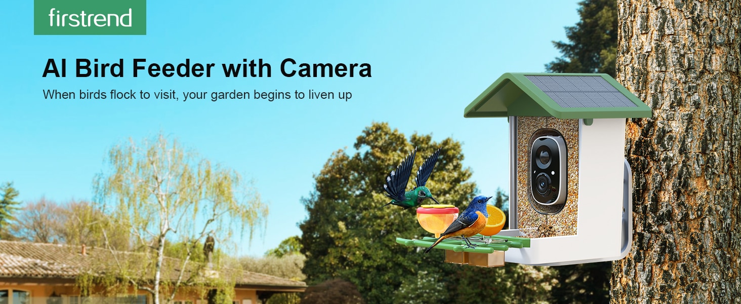 G02 Best Bird Feeder Camera