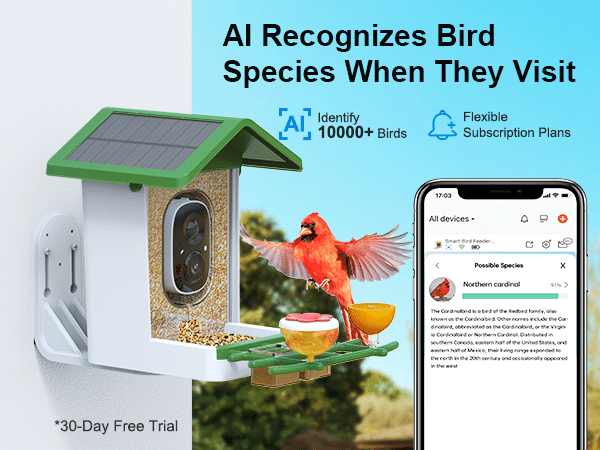 G02 Bird Feeder Camera - AI recognizes bird species when they visit