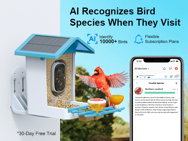 G02 best bird feeder blue - AI recognizes bird species when they visit