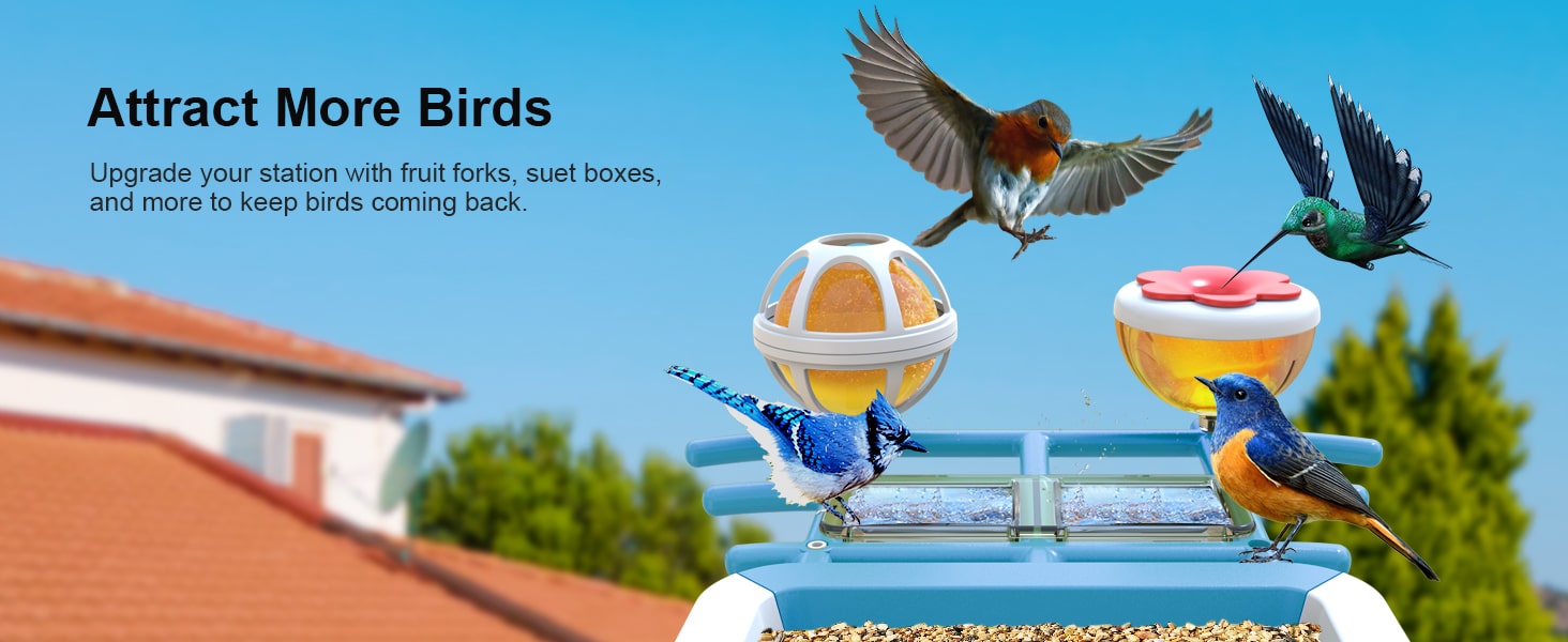 G02 firstrend best bird feeder blue -