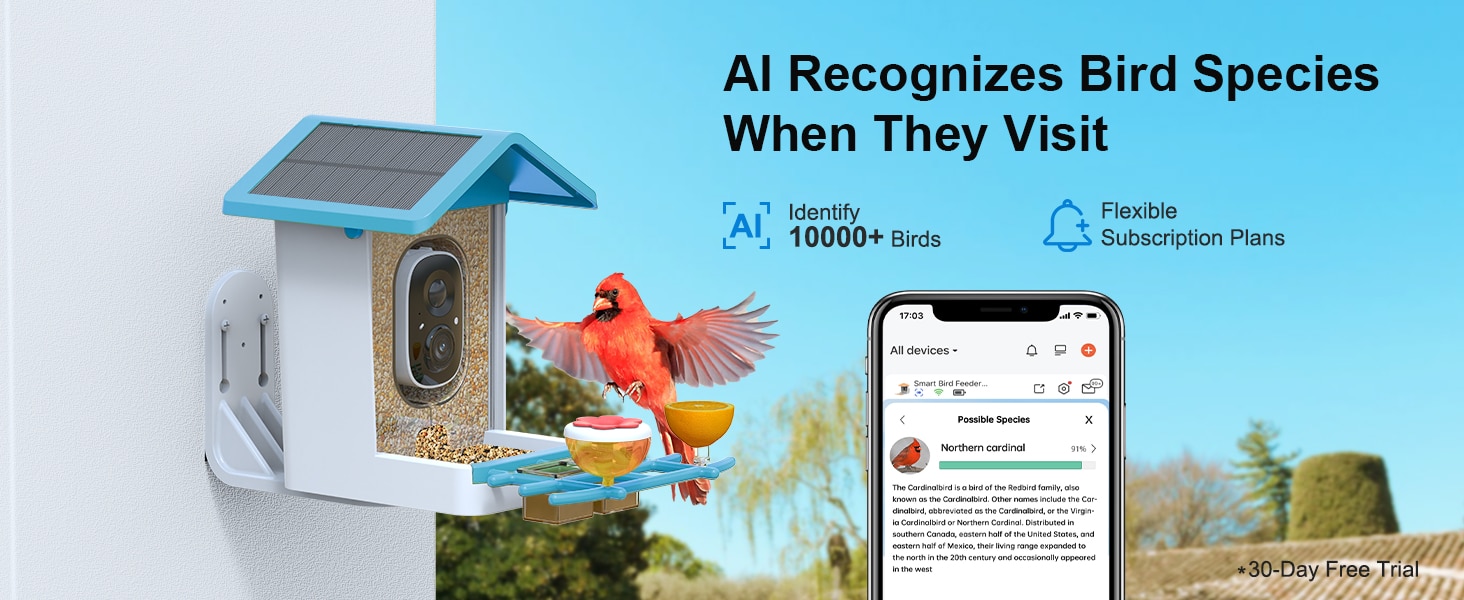 G02 firstrend best bird feeder blue - AI recognizes bird species when they visit