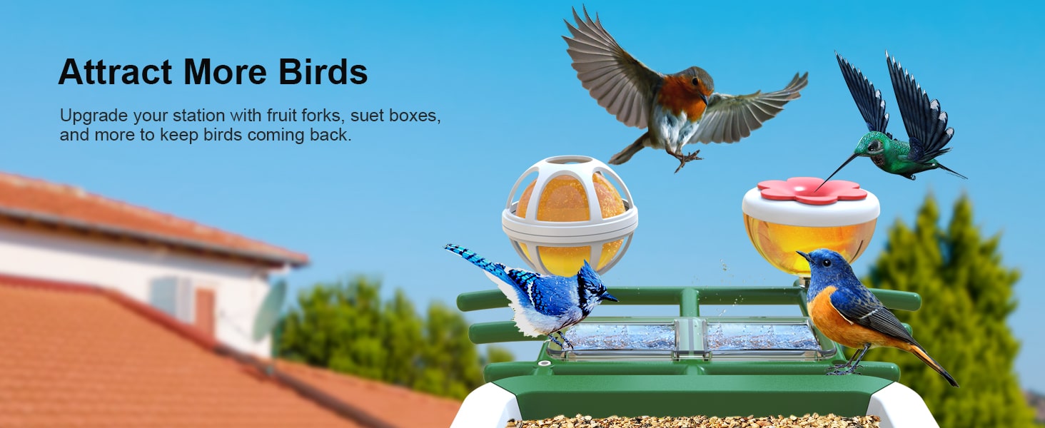 G02 firstrend best bird feeder camera - Attract more birds