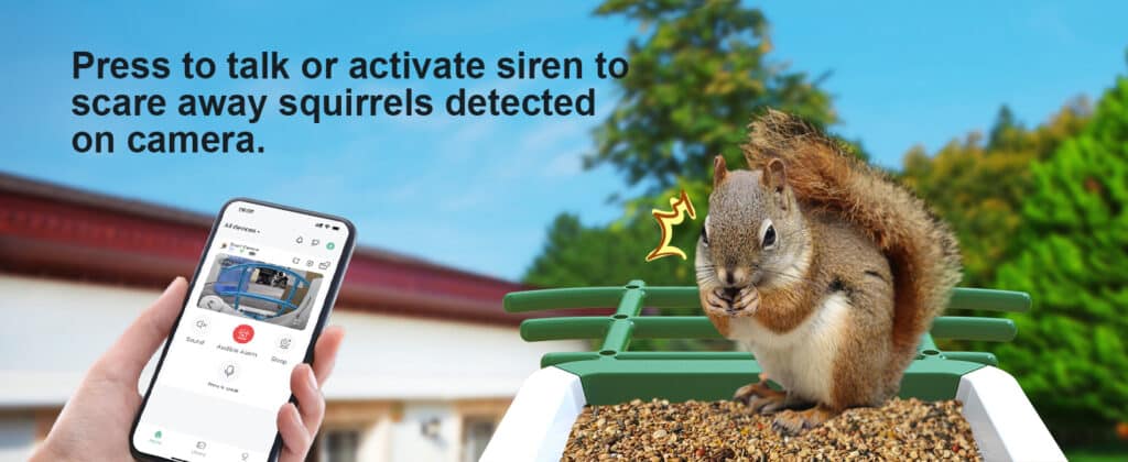 G02 firstrend squirrel proof bird feeder