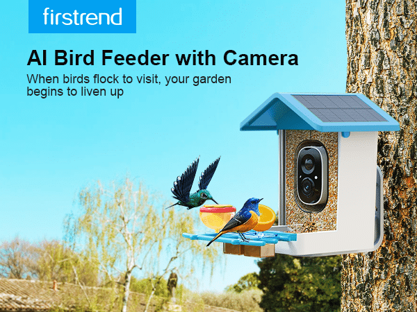 G02 fristrend solar Best Bird Feeder with Camera blue