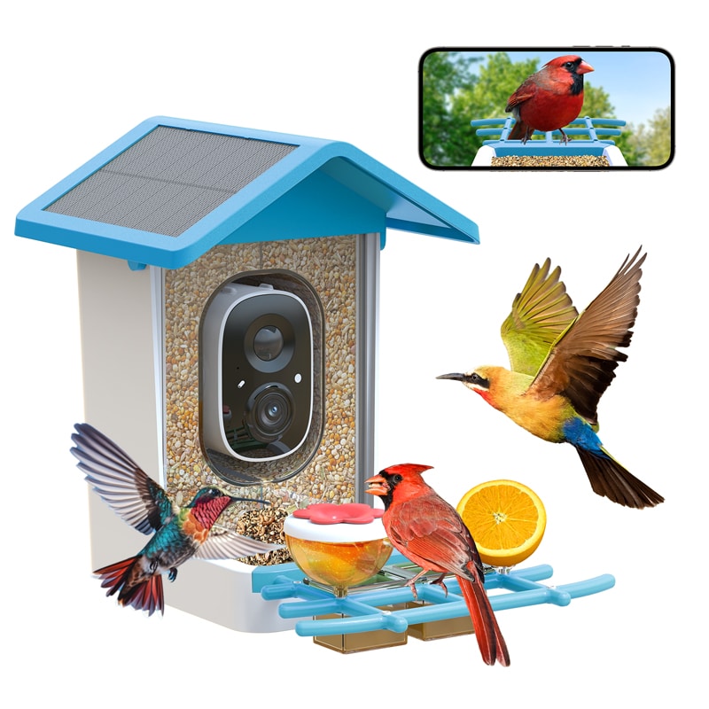 G02 solar Best Bird Feeder with Camera - Blue
