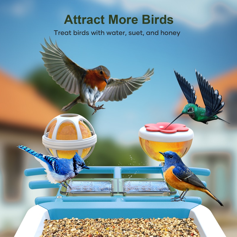 G02 solar Best Bird Feeder with Camera - attract more birds