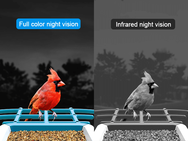 G02 solar powered bird feeder - day and night