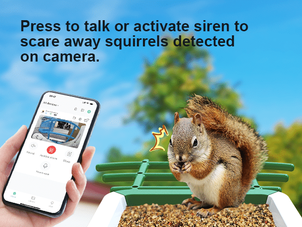 G02 squirrel proof bird feeder