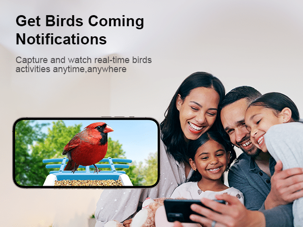 firstrend best bird feeder blue - get birds coming notifications