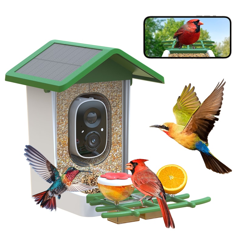 firstrend best bird feeder camera