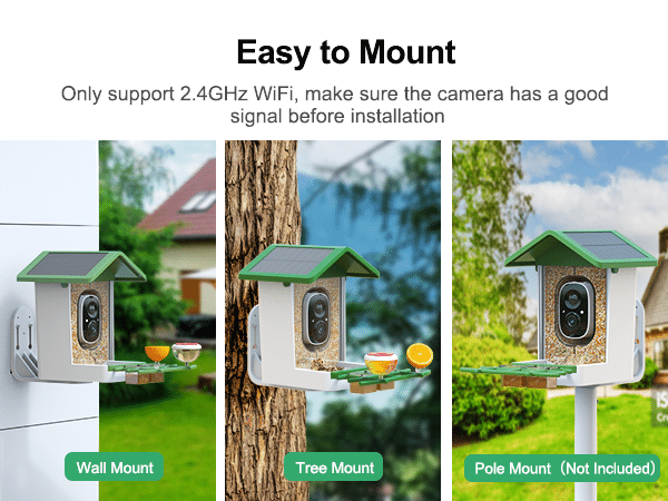 hummingbird feeder with camera - esay to mount