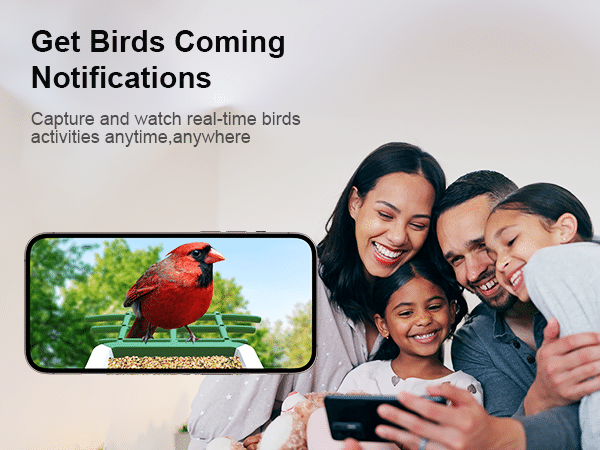 hummingbird feeder with camera - get birds coming notifications