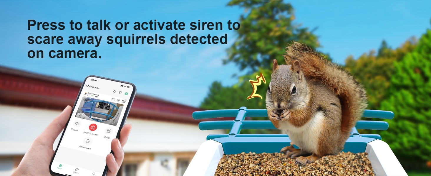 solar powered bird feeder