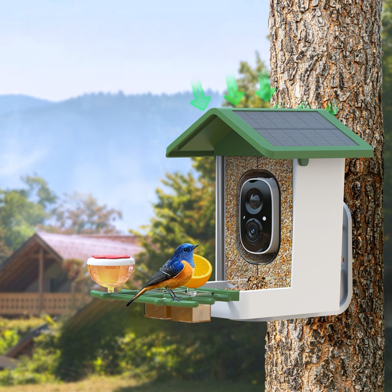 squirrel proof bird feeders